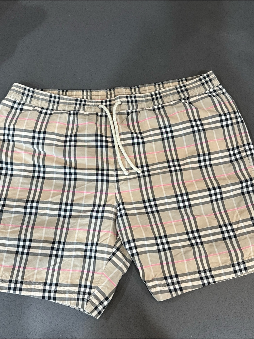 Burberry Rare Plaid Shorts Men’s Designer Swimwear Logo Trunks Summer Size L